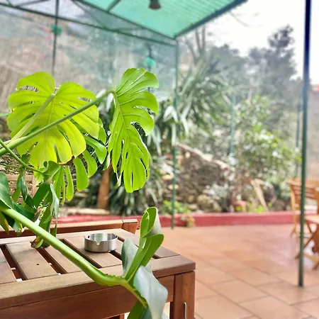 Appartamento Casaviva - Bilo With Patio In San Teodoro *