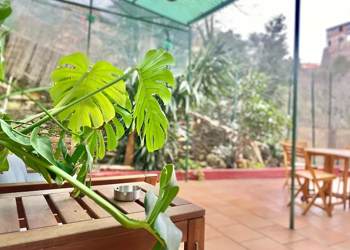 アパート Casaviva - Bilo With Patio In San Teodoro *